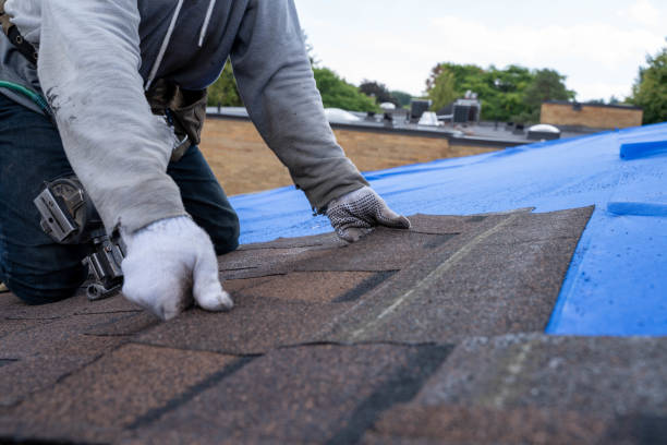 Best Tile Roofing Contractor  in Livingston, MT