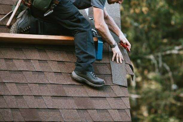 Best Sealant for Roof  in Livingston, MT
